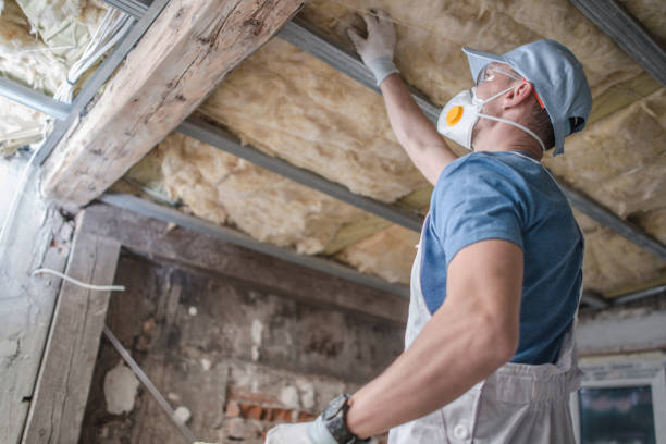 Best Insulation Materials and Products in Woodville, WI