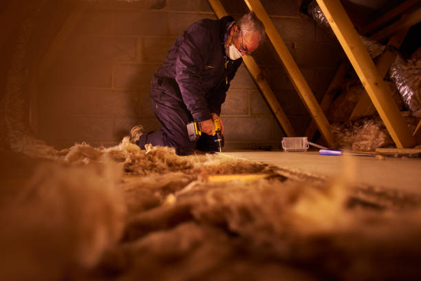 Best Types of Insulation in Woodville, WI